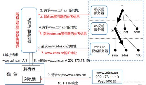 域名系統(DNS) 互聯網的“電話簿”——起源、原理與服務解析