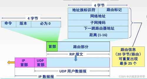 網(wǎng)絡(luò)層在計算機(jī)網(wǎng)絡(luò)開發(fā)與服務(wù)中的關(guān)鍵作用